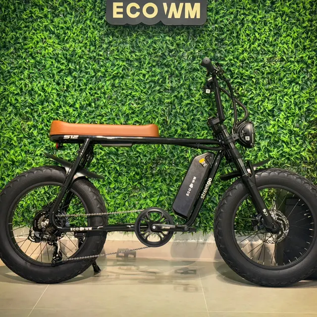 Acessibilidade Urbana: O Impacto das Scooters Elétricas na Inclusão e no Direito de Ir e Vir