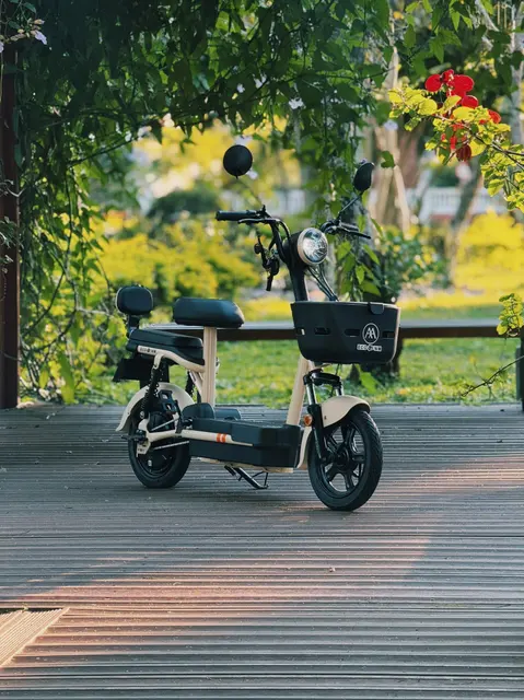 Seguro para Scooter Elétrica: É Obrigatório? Como Escolher o Melhor