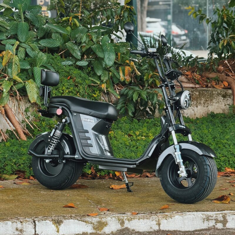 Revenda De Scooter Elétrica Com a Ecowm: Saiba Mais!