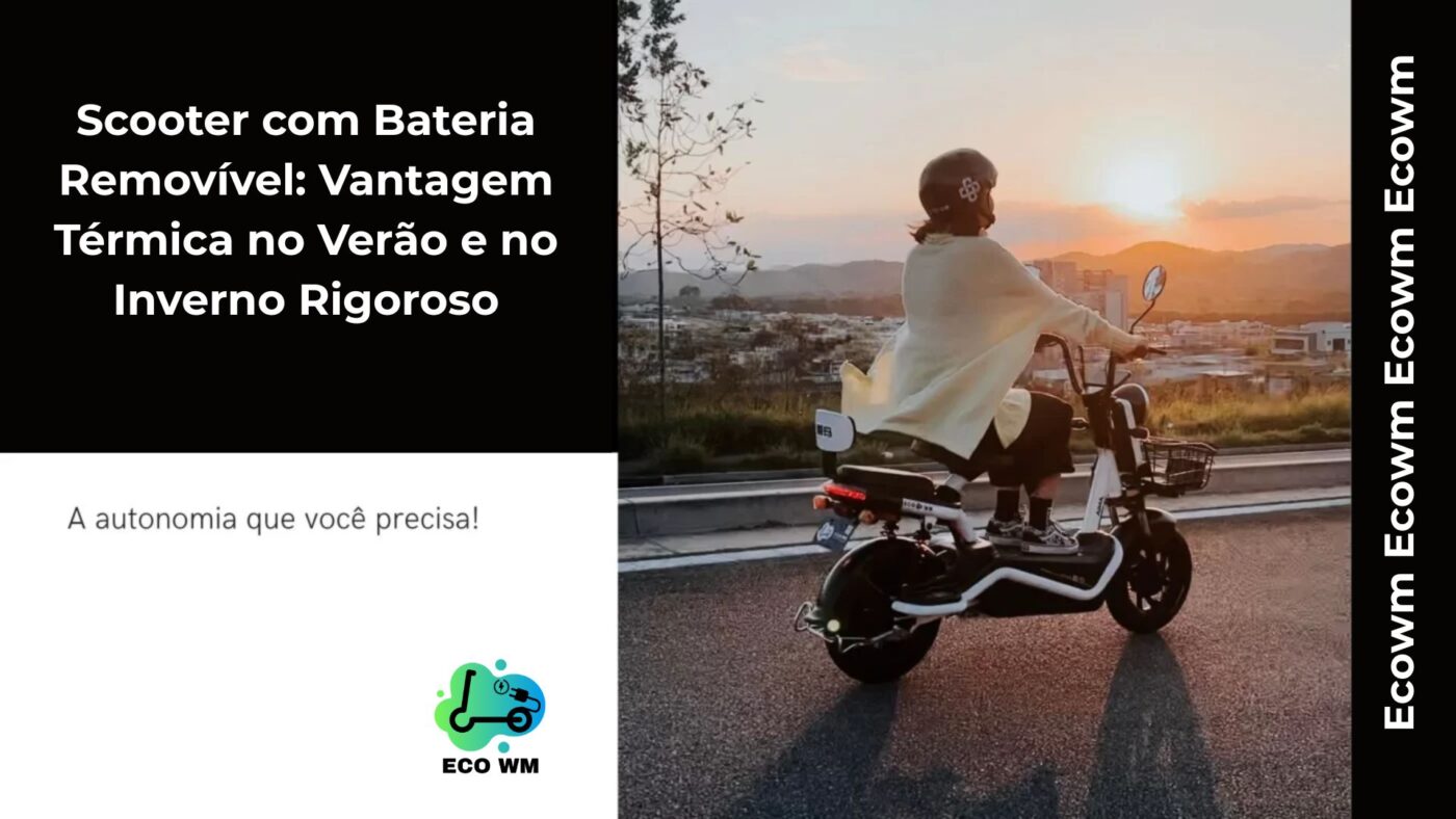 Descubra as vantagens das scooters elétricas com bateria removível em diferentes climas e como elas garantem praticidade e eficiência.